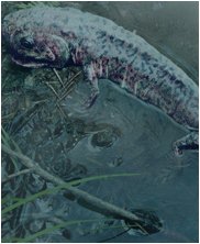 ancestors tales concept, julian johnson-mortimer