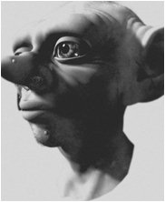 kreacher, Harry potter