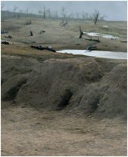 George washington, washington the warrior