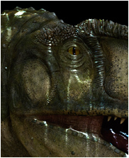 Carcharodontosaurus, mega beasts