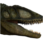 Carcharodontosaurus, mega beasts
