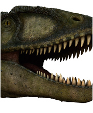 Carcharodontosaurus, mega beasts