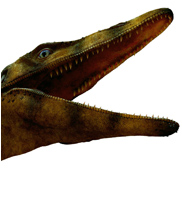 Dallasaurus, mega beasts