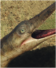 Dolichorhynchops, mega beasts