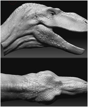 gorgosaurus