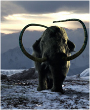 mammouth, iceage