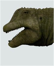 Paralititan_Stromeri, Mega Beasts