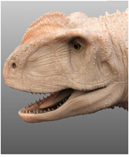 Rugops, Rugops primus, Mega Beasts