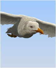 seagull for london eye