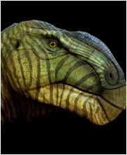 Tenontosaurus, mega beasts