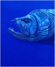 Xiphactinus, mega beasts