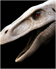 Deinonychus, Raptor, Mega Beasts