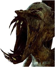 Dungeons and dragons harpy, harpies, ice dragon, kobold