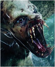 Dungeons and dragons harpy, harpies, ice dragon, kobold