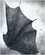 Dungeons and dragons harpy, harpies, ice dragon, kobold