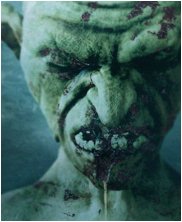 Dungeons and dragons harpy, harpies, ice dragon, kobold