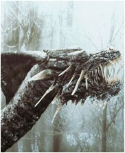 Dungeons and dragons harpy, harpies, ice dragon, kobold