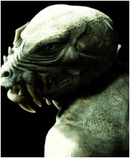 Dungeons and dragons harpy, harpies, ice dragon, kobold