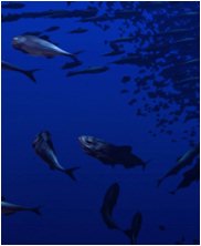 Tylosaur, Styxosaurus Snowii, sea monsters