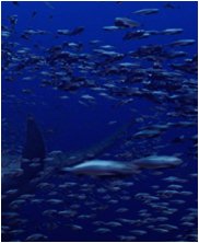 Tylosaur, Styxosaurus Snowii, sea monsters