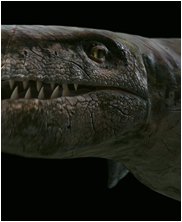 Tylosaur, Styxosaurus Snowii, sea monsters