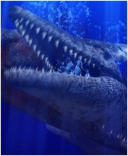 Tylosaur, Styxosaurus Snowii, sea monsters