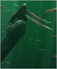 Tylosaur, Styxosaurus Snowii, sea monsters