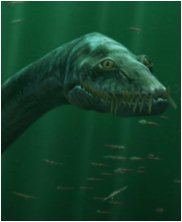 Tylosaur, Styxosaurus Snowii, sea monsters