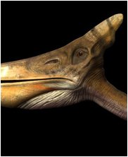 Tylosaur, Styxosaurus Snowii, sea monsters